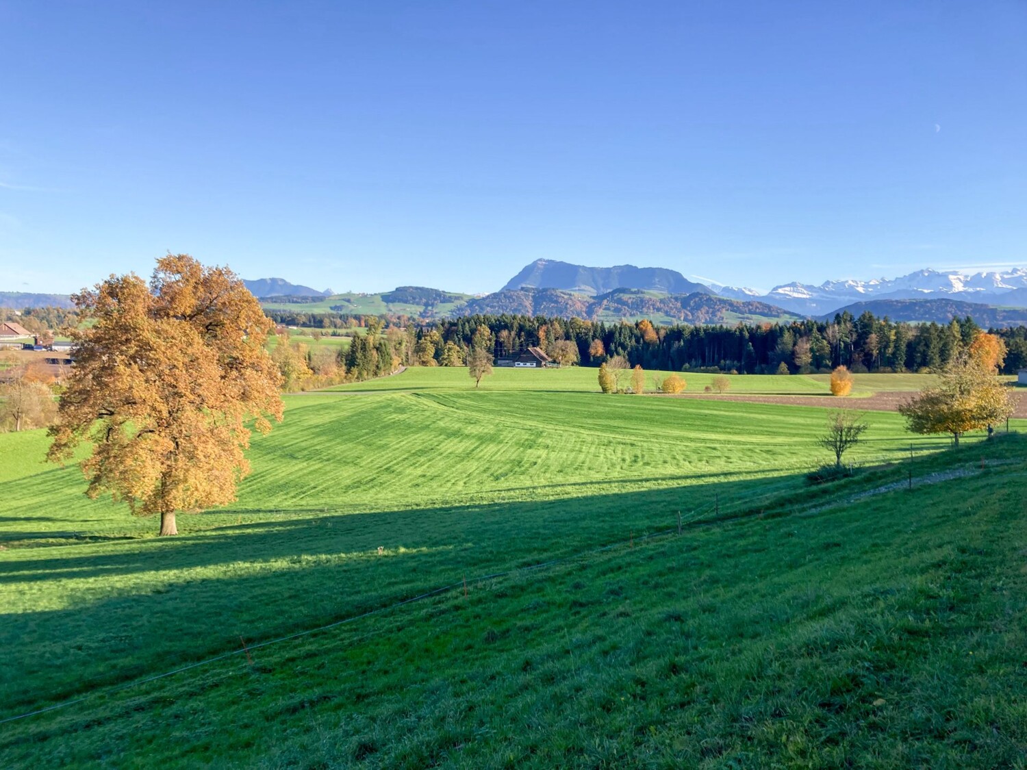 Die Rigi ist fast immer zu sehen auf dieser Wanderung.
