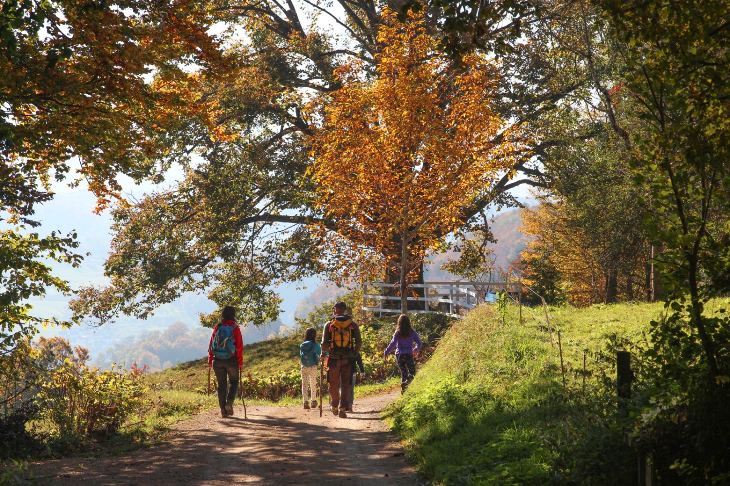 Aus dem Wald heraus öffnet sich der Blick auf die Weiten des Baselbiets. Bild: Ulrike Marx