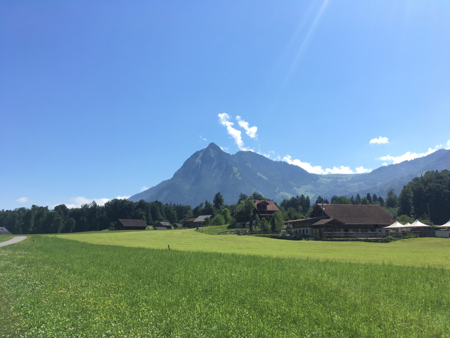 La randonnée démarre et se termine sur le bitume, mais offre une belle vue sur le Stanserhorn. Photo: Jürg Steiner