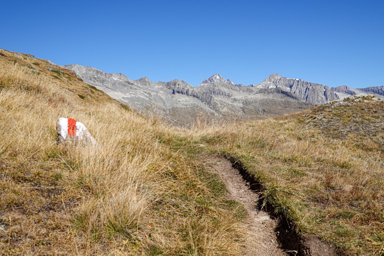 Beim Aufstieg auf das Foggenhorn fällt der Blick auf das Aletschhorn und das Geisshorn