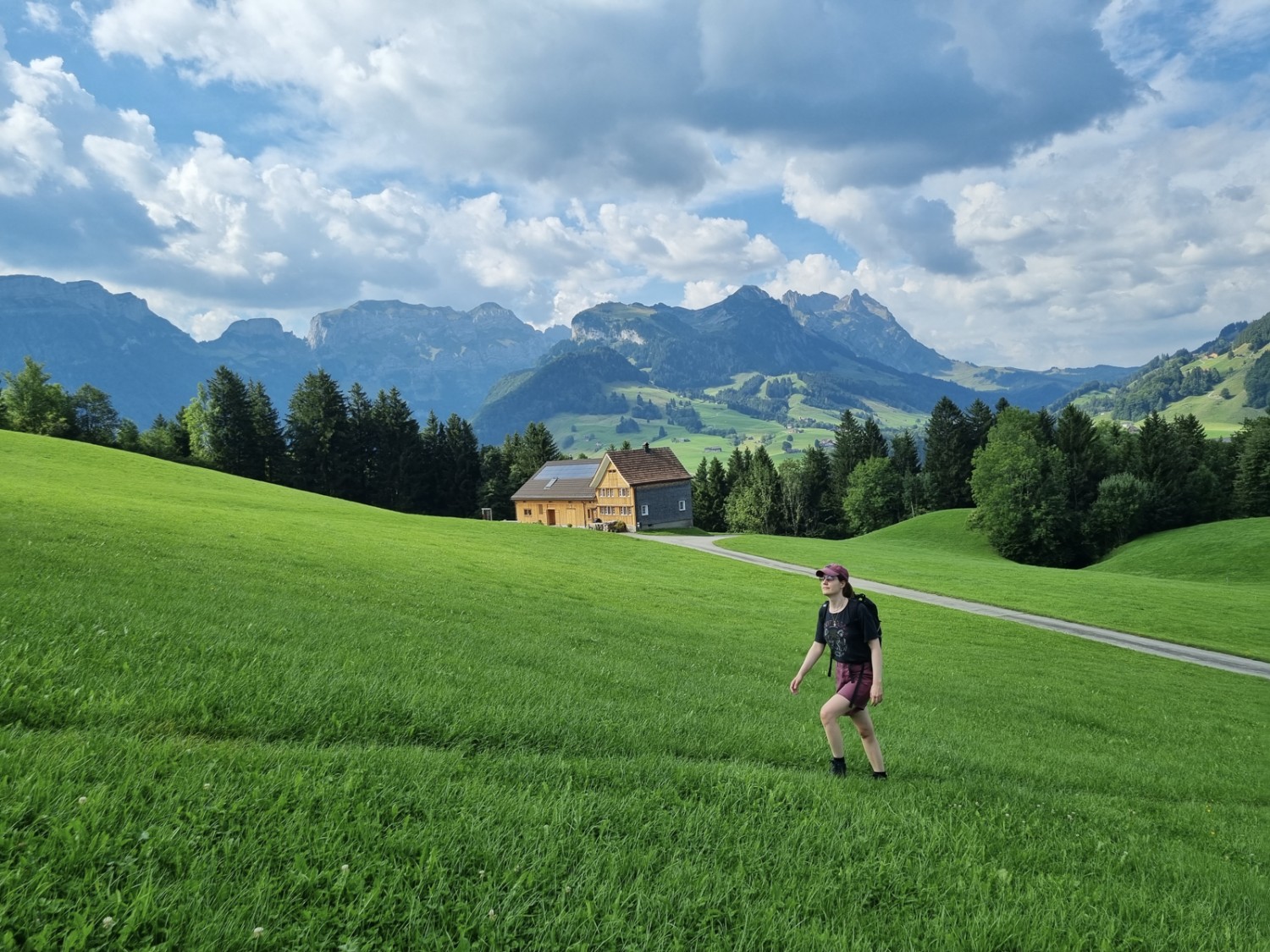 Querfeldein: Nach einem ersten kurzen Abschnitt auf der Hauptstrasse verläuft die Wanderung über saftig grüne Hügel. Bild: Natalie Stöckli 