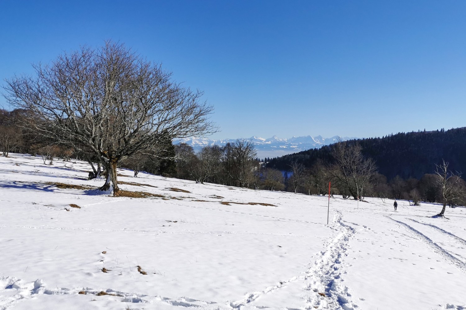 Beim Aufstieg zum Place centrale öffnet sich die Sicht zu den Alpen.
Bild: Andreas Staeger