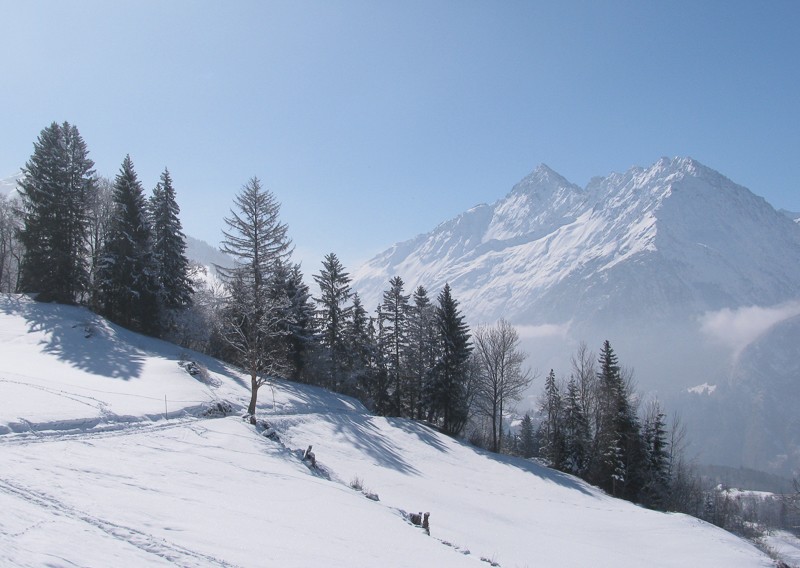 Ausblick vom Sonnenhang des Haslibergs hinüber zu Ritzlihorn und Gallauistock.
Bild: Andreas Staeger