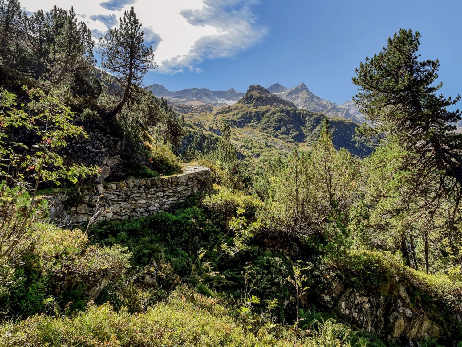 Le chemin muletier aménagé avec soin, dans la montée vers In Miseren
