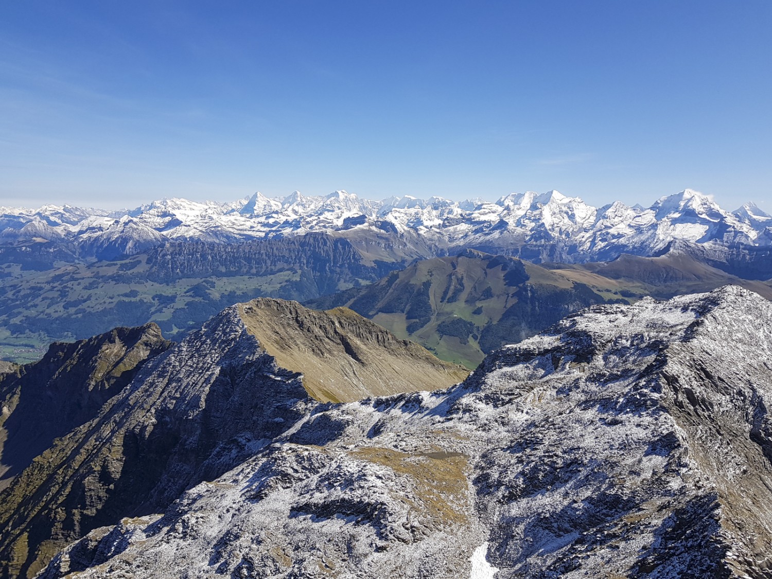 Was für eine Aussicht! Vom Gipfel der Männliflue reicht der Blick bis zu den Zentralschweizer Alpen. In der Bildmitte Eiger, Mönch und Jungfrau, rechts das Doldenhorn. Bild: Patricia Michaud