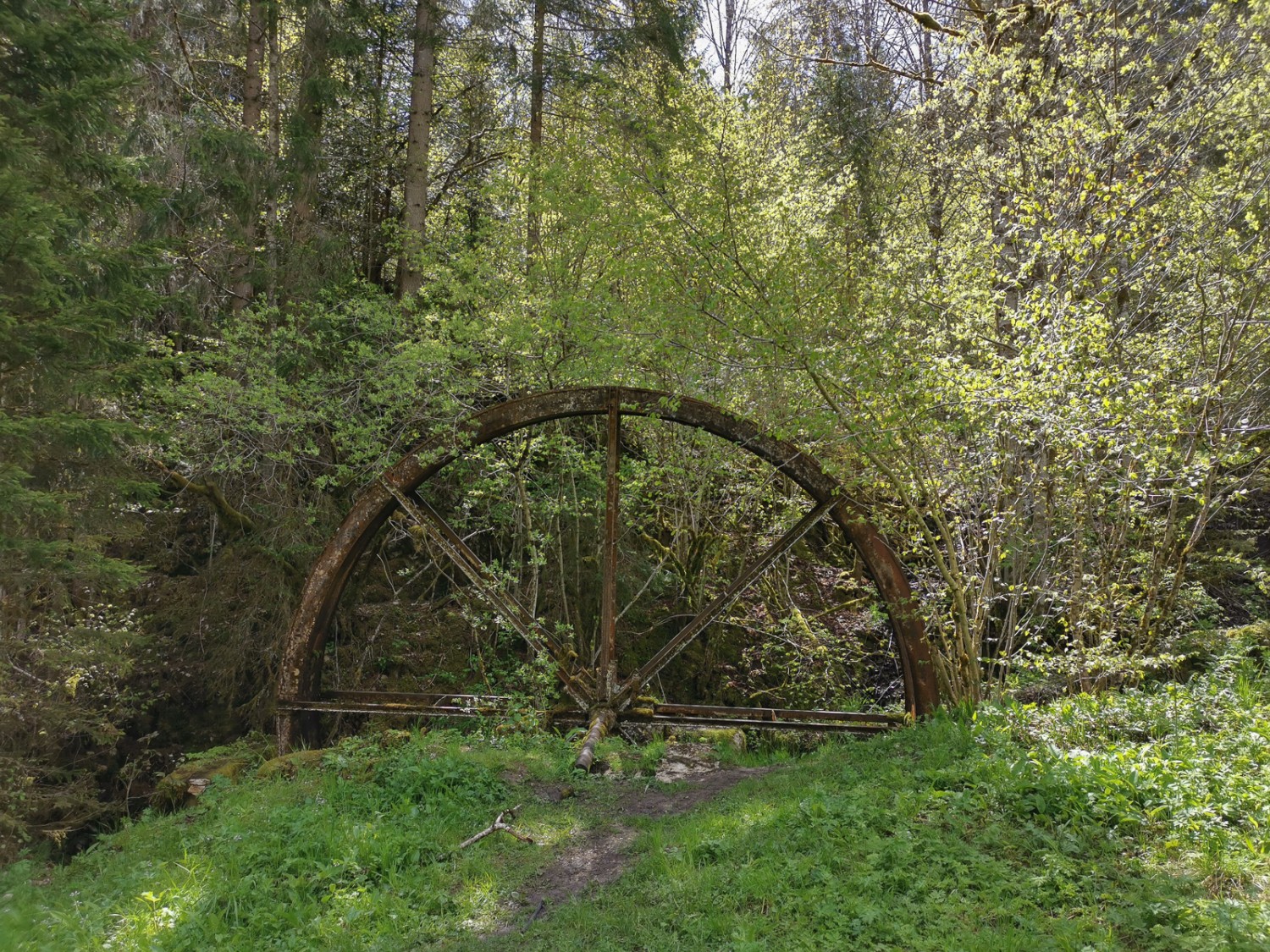 Wilde Schlucht in den Freibergen