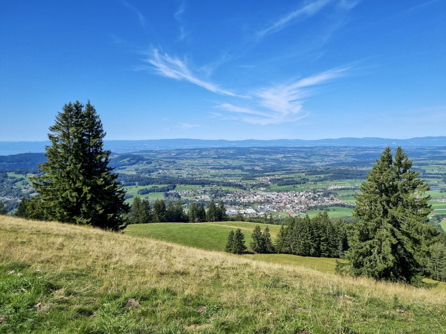 Kurz vor dem höchsten Punkt der Wanderung bietet sich ein Panoramablick auf die Region zwischen Neuenburger- und Genfersee. Bilder: Nathalie Stöckli