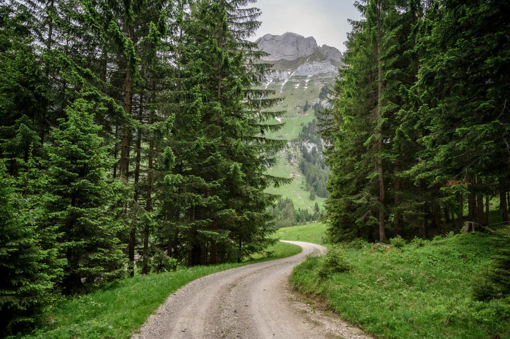 Die Wanderung ist abwechslungsreich und verlangt einem bis zum Leuenfall konditionell nicht allzu viel ab.
