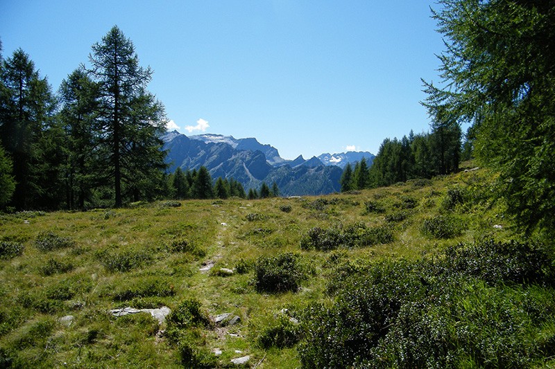 Wunderschön, der Weg zum Prato di Cüm mit Fernsicht.
Bild: Maria Zachariadis