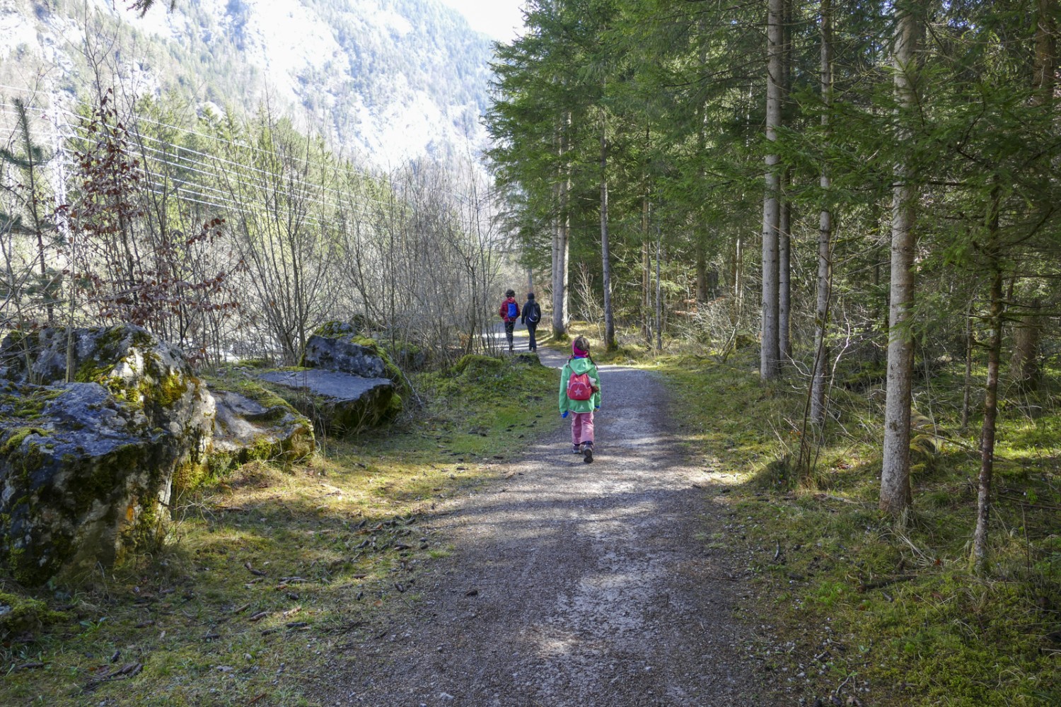 Idyllisch: Moosbedeckte Steine säumen den Weg. Bild: Kim Bütikofer