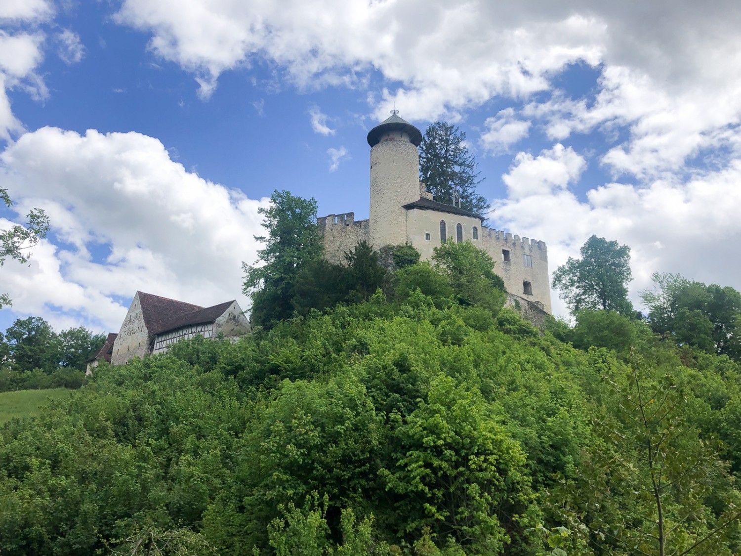 Die Burg Birseck steht auf einem Bergsporn.