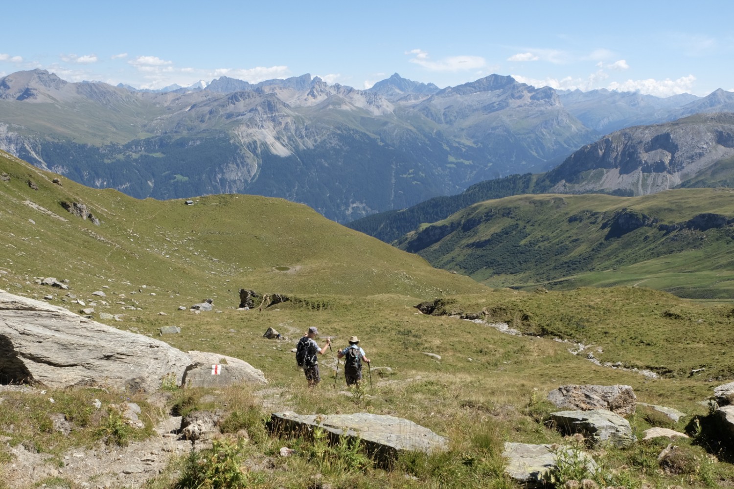 Im Abstieg vom Piz Beverin auf der Alp Nursin. Bild: Elsbeth Flüeler