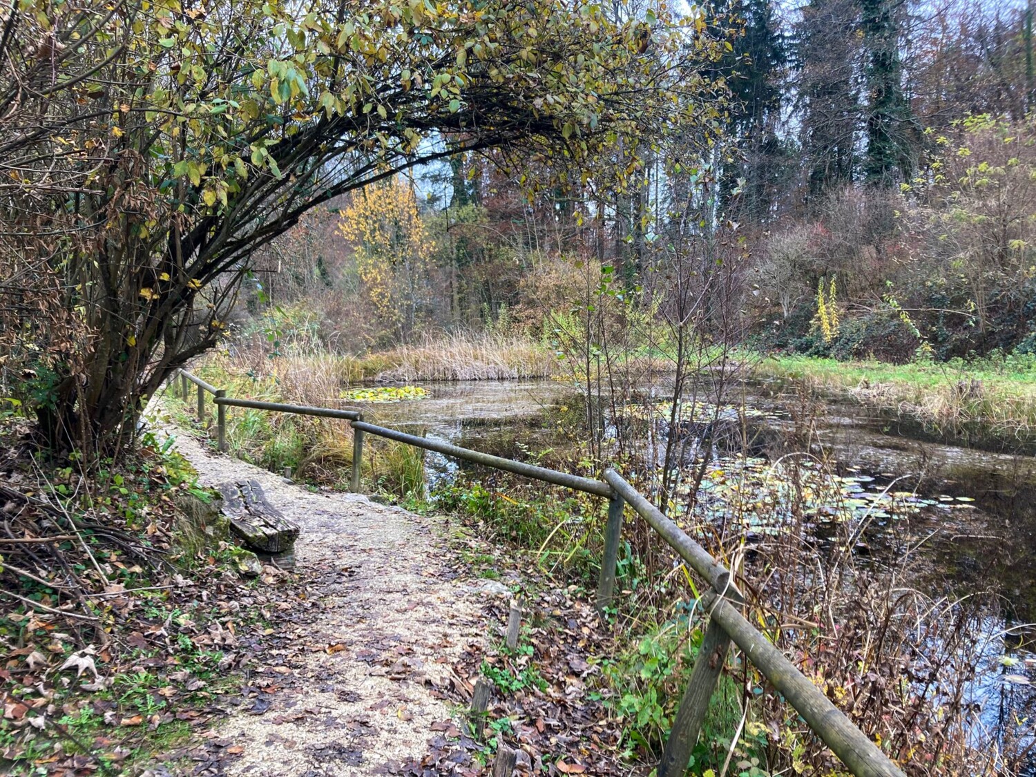 Le sentier longeant l’étang à la Herzogematt n’est pas un chemin de randonnée officiel.