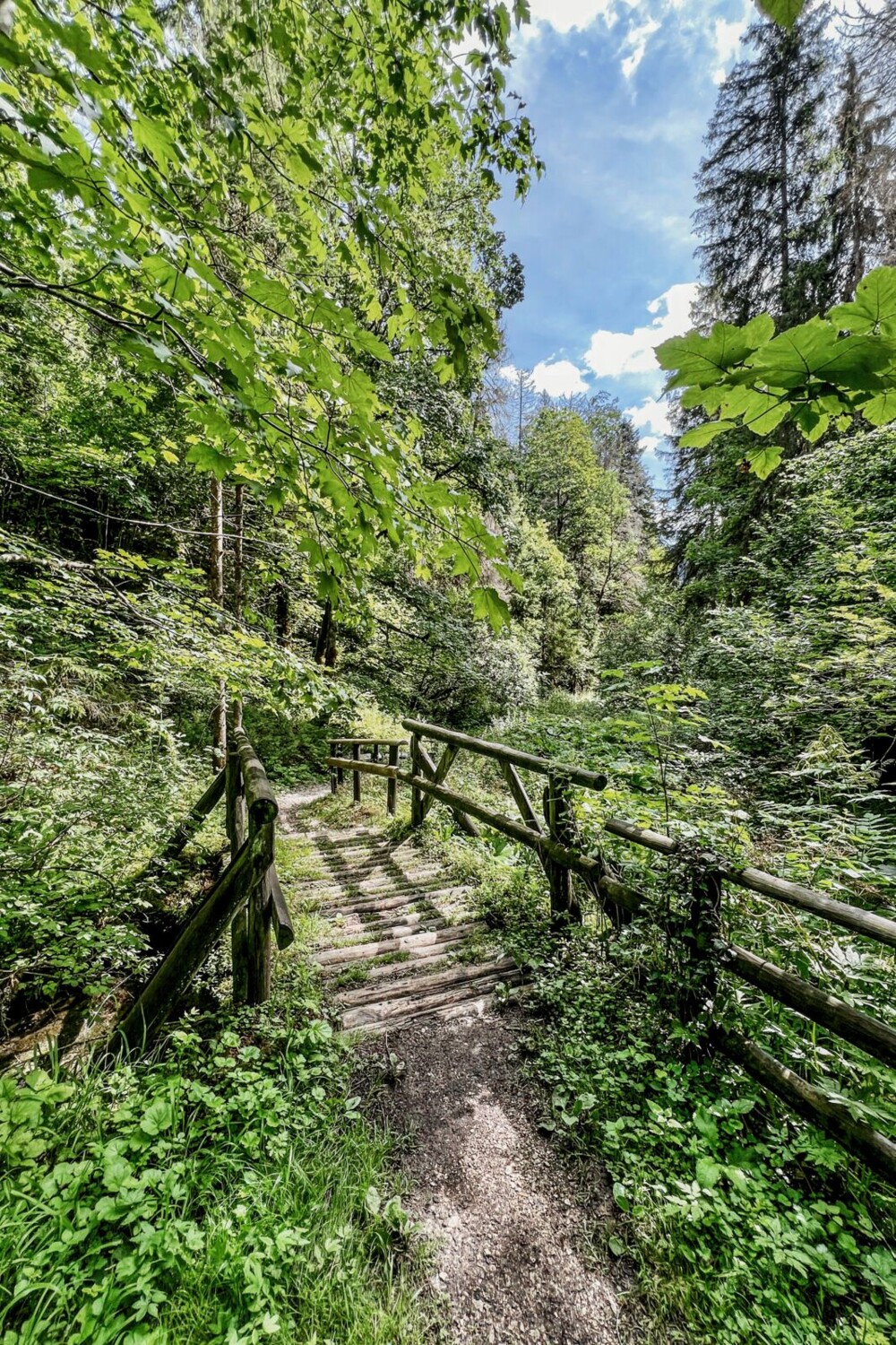 Aux abords de l’étang de Bollement, le chemin a été parfaitement aménagé par Jura Rando.