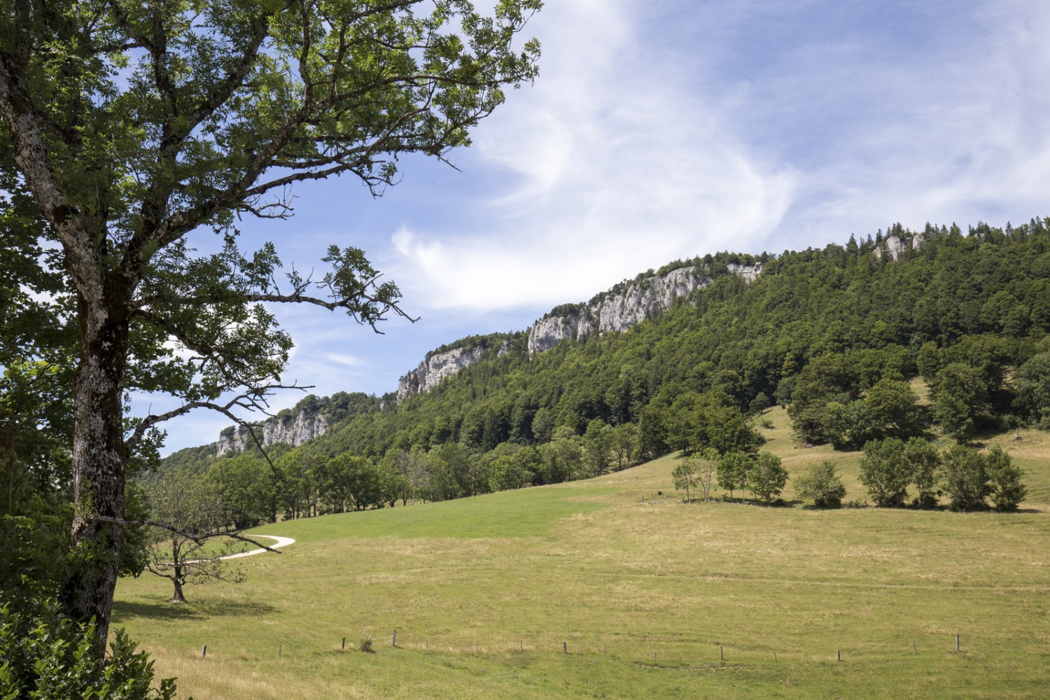 Ein Blick zurück auf die Chambenflüe vom sanften Hofbergli aus. Bild: Daniel Fleuti