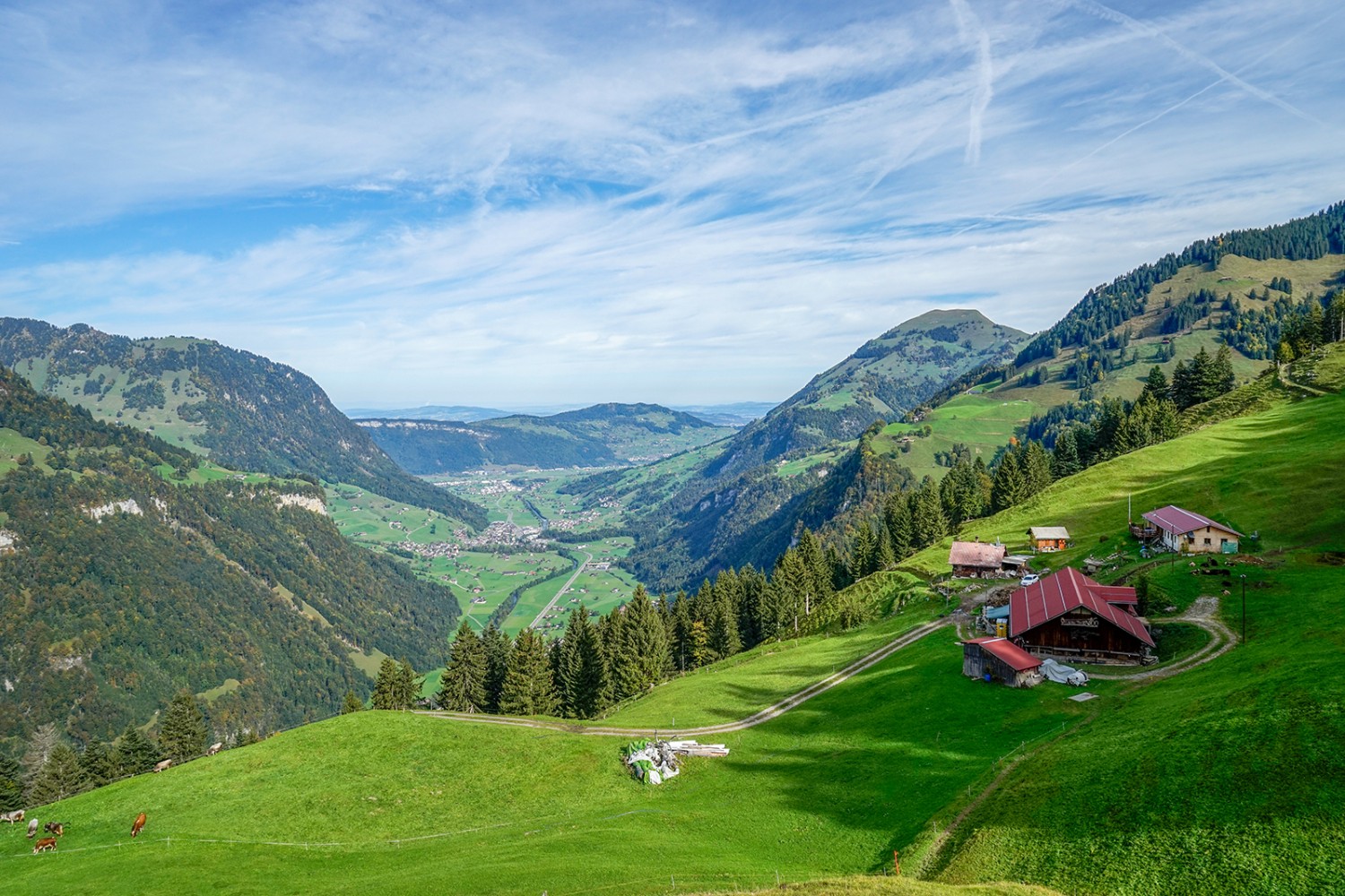 Aussicht vom Wellenberg durch das Engelbergertal zum Bürgenstock (mitte) und zum Buochserhorn (rechts).
Bilder: Fredy Joss