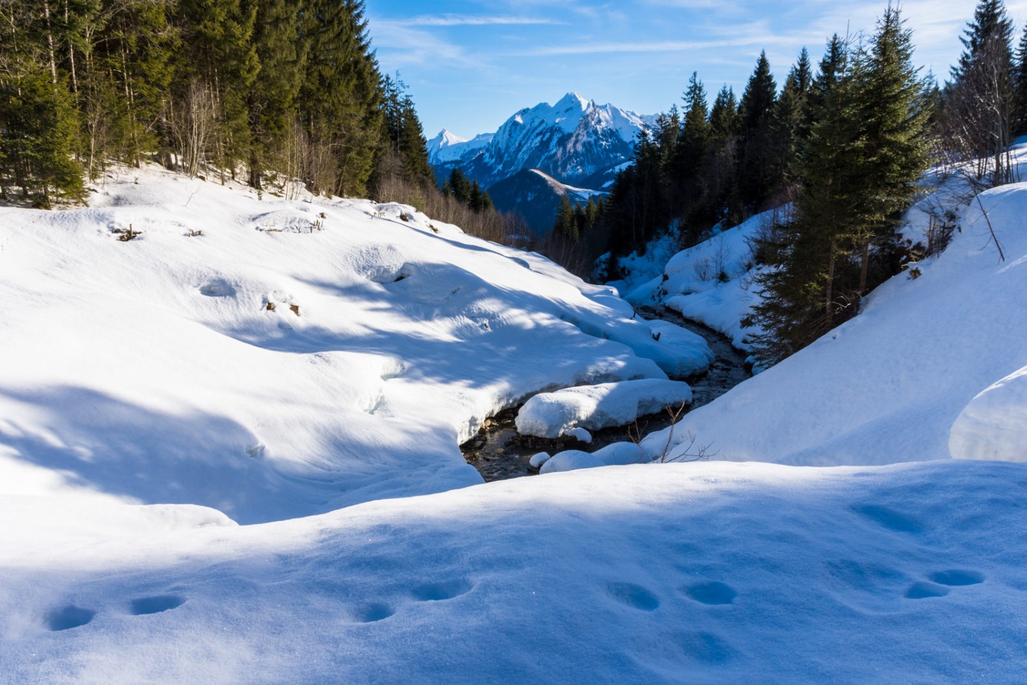 Die goldene Sonne zeichnet ein schönes Licht‐ und Schattenspiel in den Schnee.