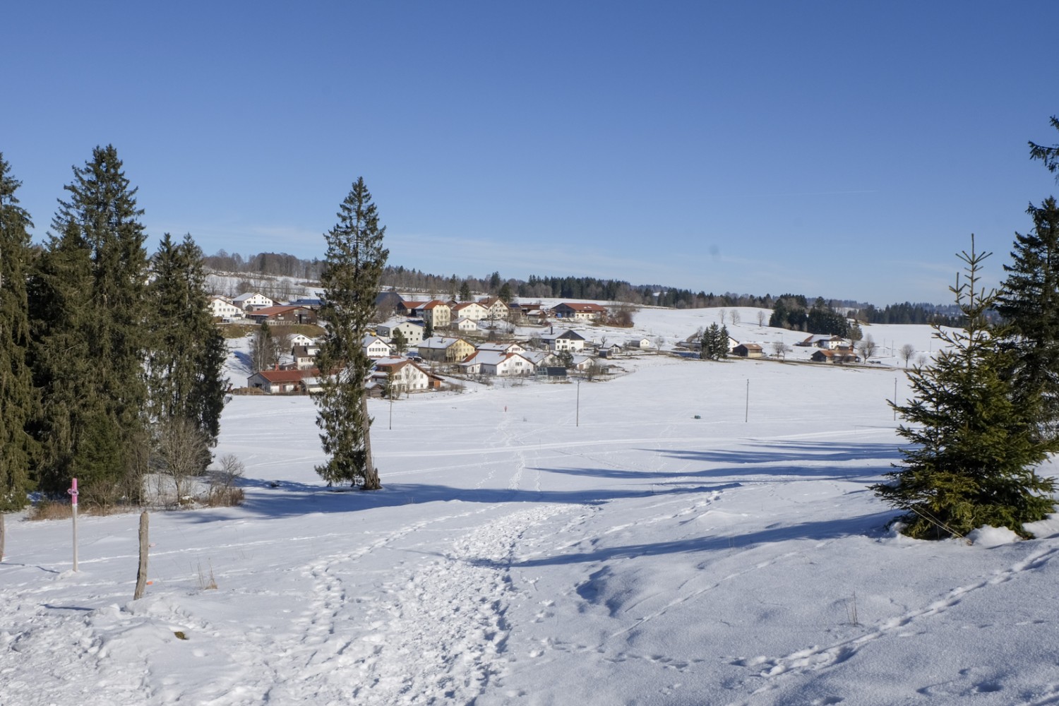 Von Les Breuleux aus führt ein Schneeschuhpfad über die Freiberger Wytweiden. Bild: Elsbeth Flüeler
