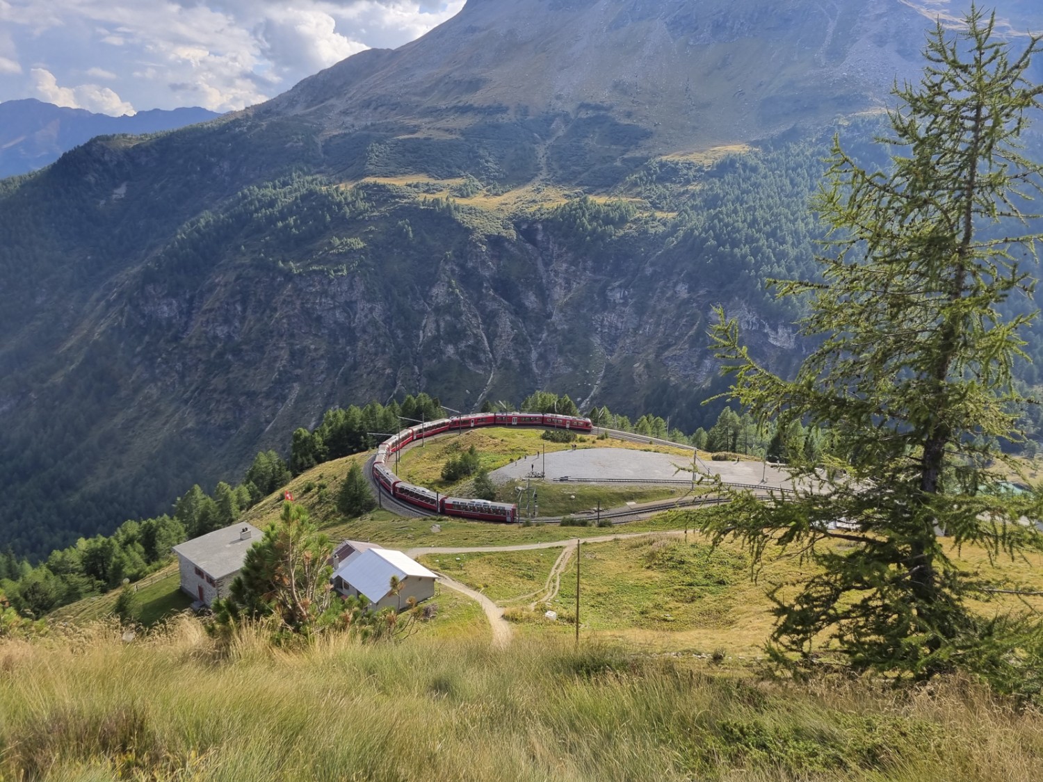 En dessous d’Alp Grüm, l’un des nombreux virages de la ligne de la Bernina. Photo: Nathalie Stöckli