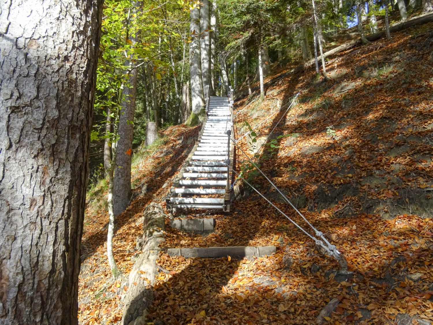 Dank einer Metalltreppe erreicht man den Höchfall bequem. Bild: Sabine Joss