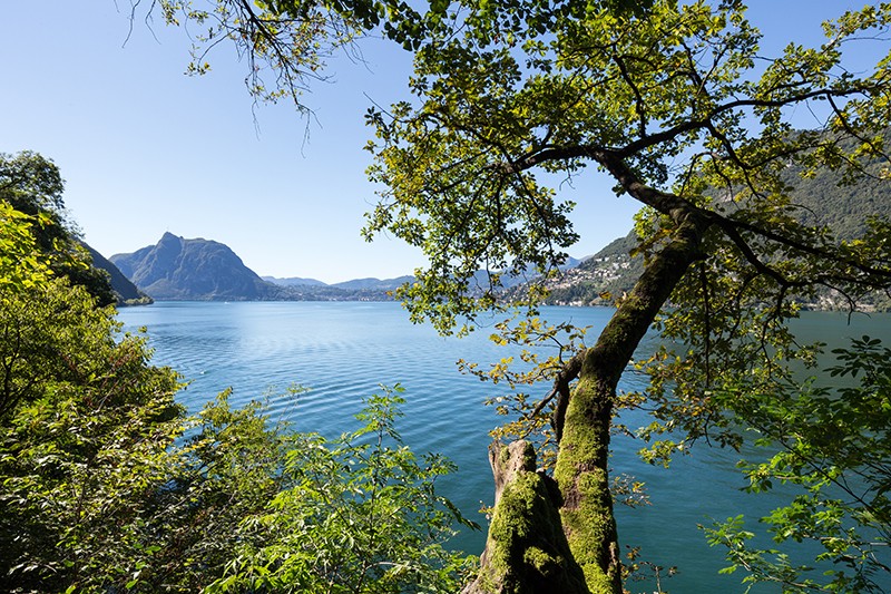 Idylle am Luganersee.
Bilder: Daniel Fleuti