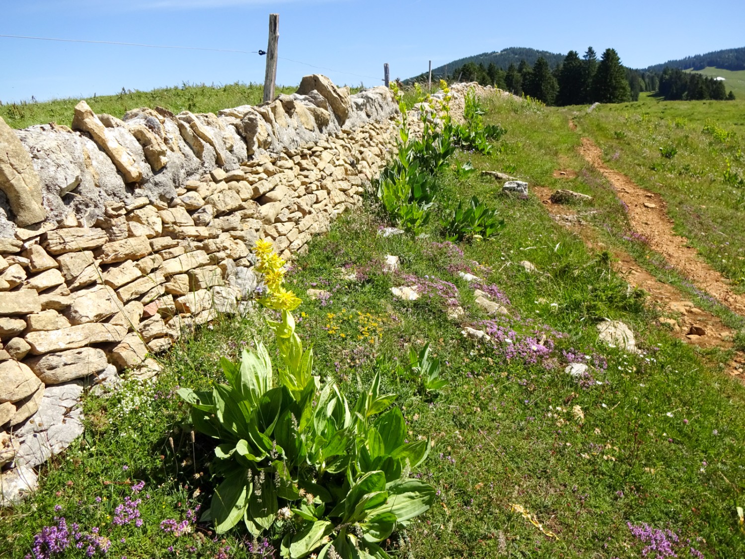 Trockensteinmauern sind charakteristisch für die Region. Bild: Miroslaw Halaba