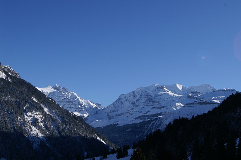 Blick auf die Blüemlisalp.
Bild: Jochen Ihle