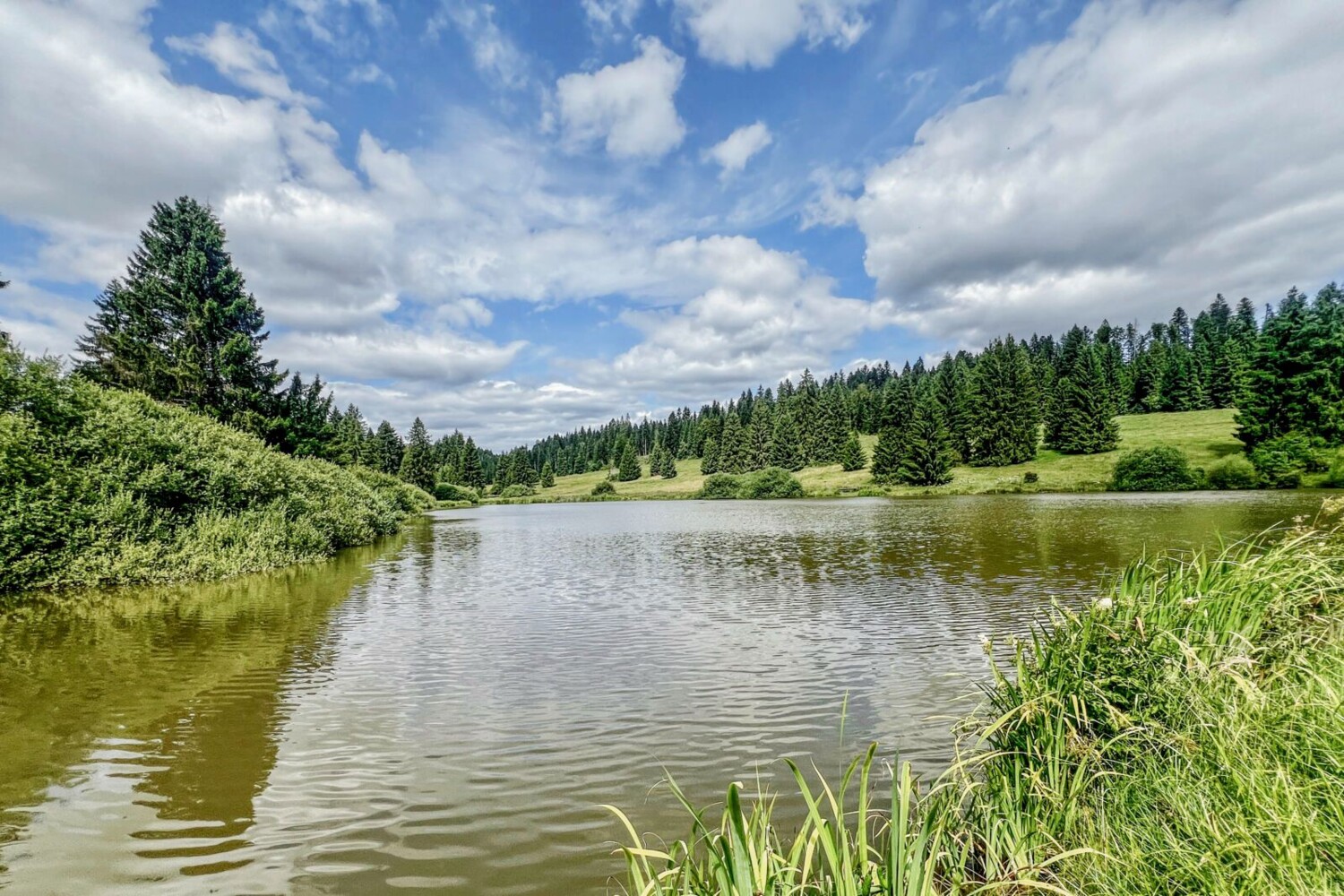 L’étang du Plain de Saigne est très prisé par les adeptes de promenades. Il abrite une riche biodiversité.