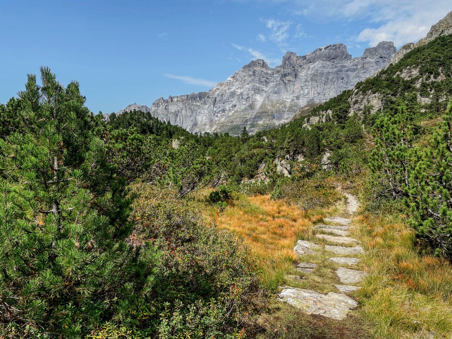 Le haut marais In Miseren offre un contraste saisissant avec la Gadmerflüö.
