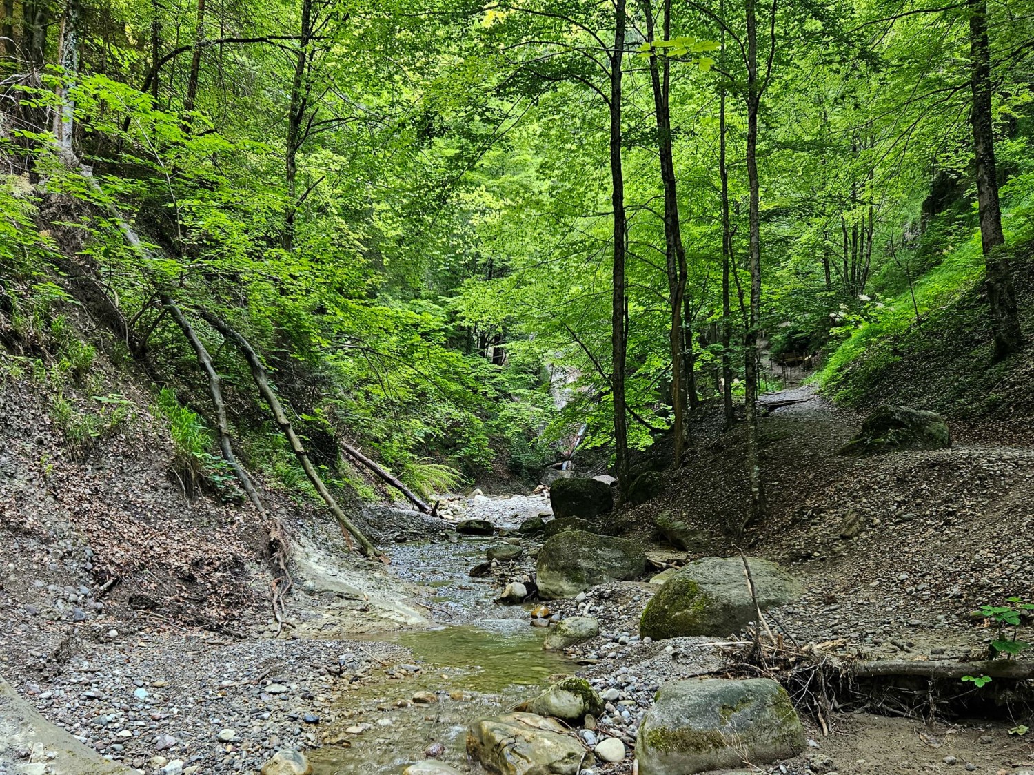 Der Hünibach schlängelt sich durch die Cholereschlucht.