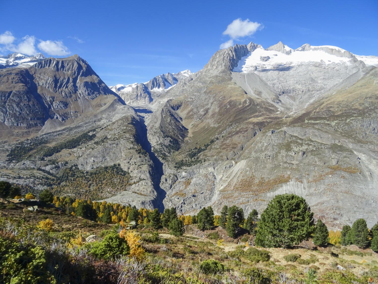 Blick über den Aletschgletscher auf den Oberaletschgeltscher, das Geisshorn und das Gross Fusshorn.