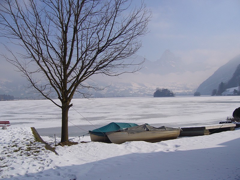 Winterstimmung am gefrorenen Lauerzersee.          
Bild: Werner Nef