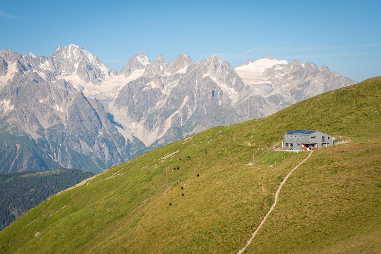 Randonnée panoramique vers le Mont Brûlé