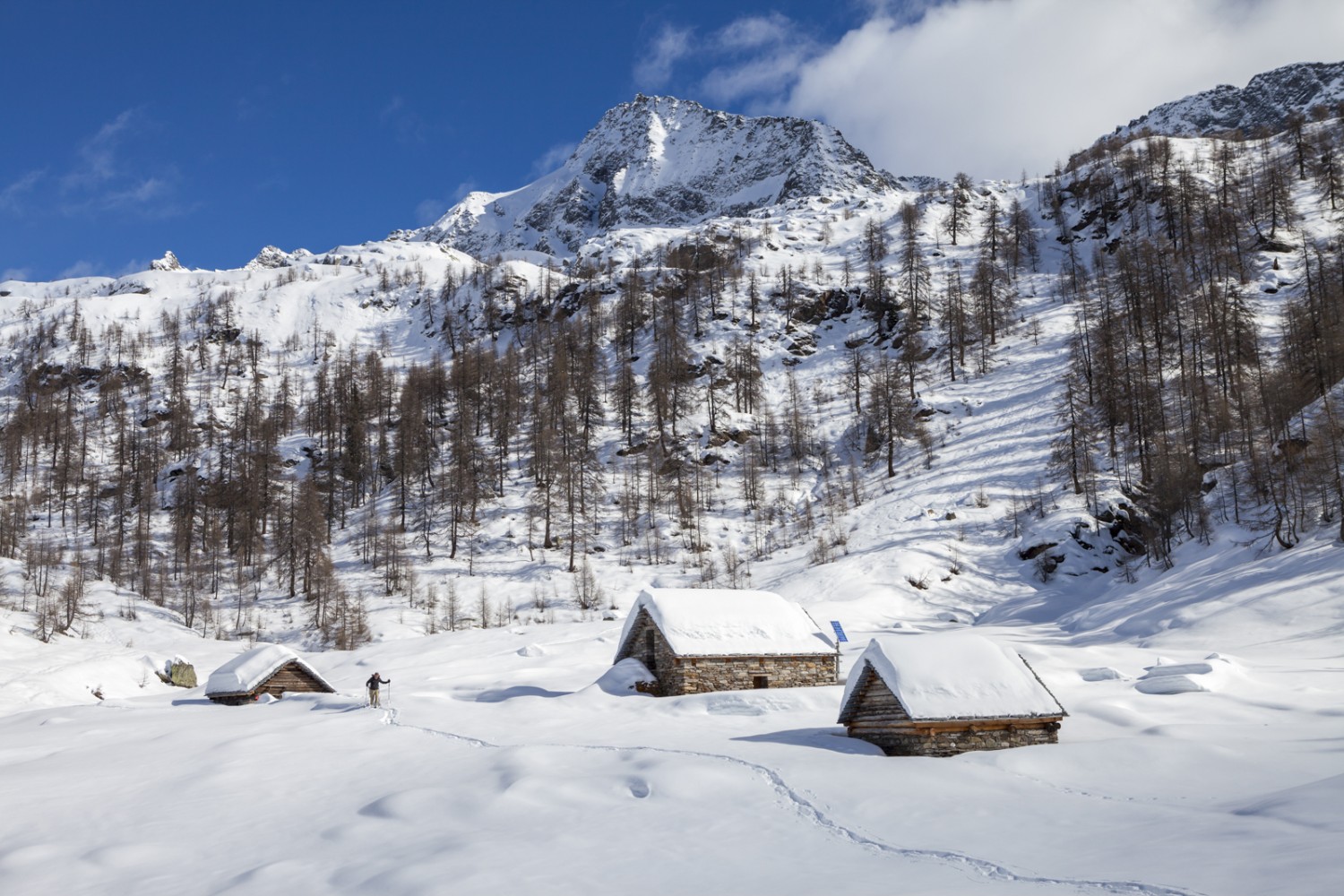 Im Winter ist es auf den Alpen im Val Lavizzara einsam. Bild: Iris Kürschner
