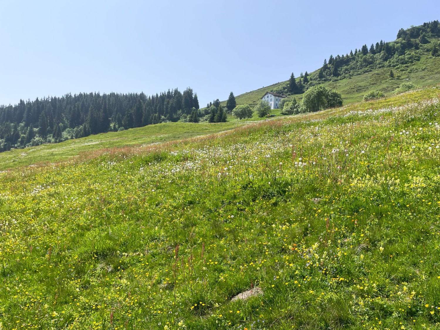 Schon bald erspäht man das Berghaus Bündner Rigi an der Flanke des Piz Mundaun.