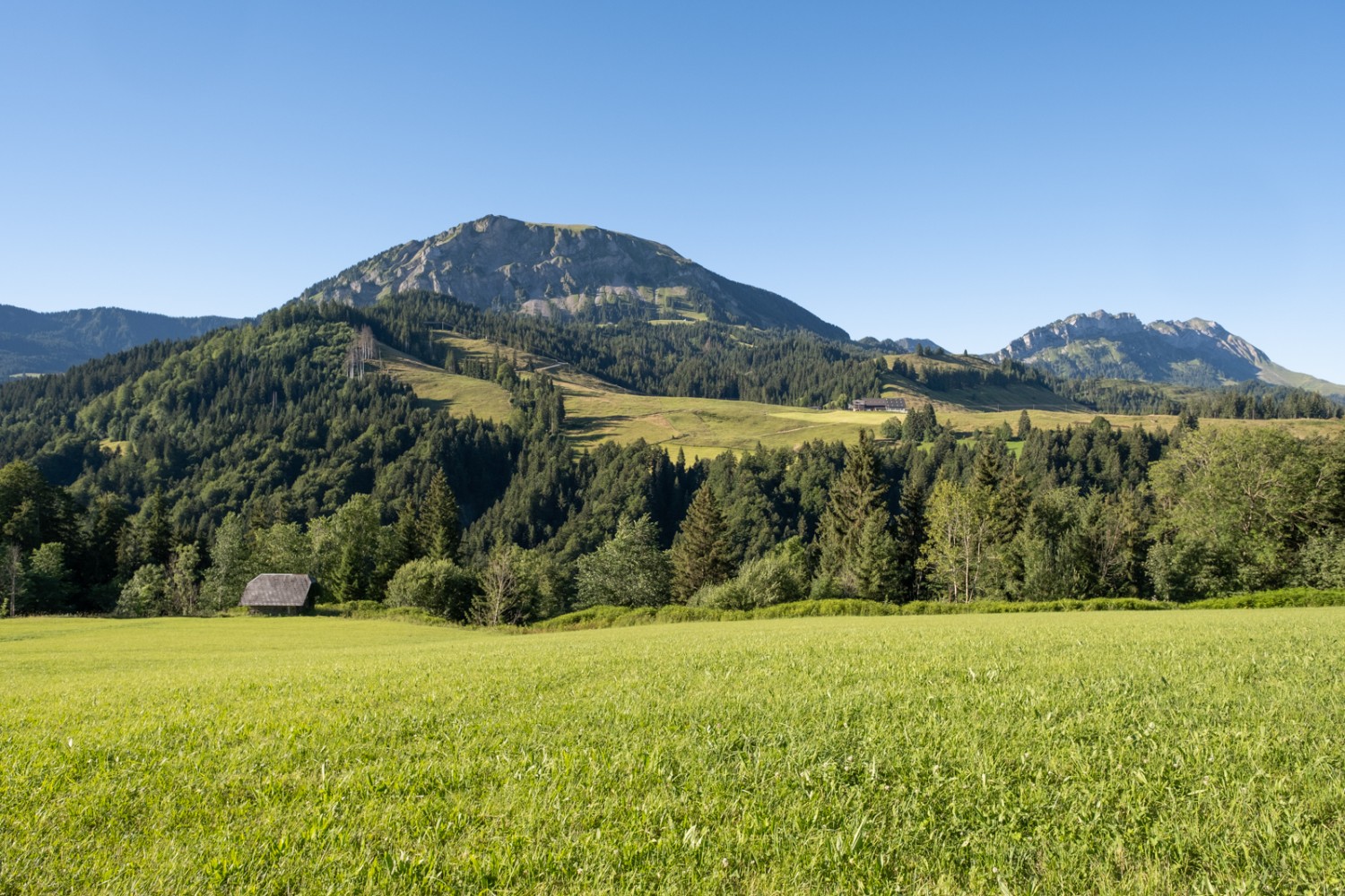 Der Schimbrig ist ein Traum von einem Berg, ein Berg auf den man will. Bild: Markus Ruff