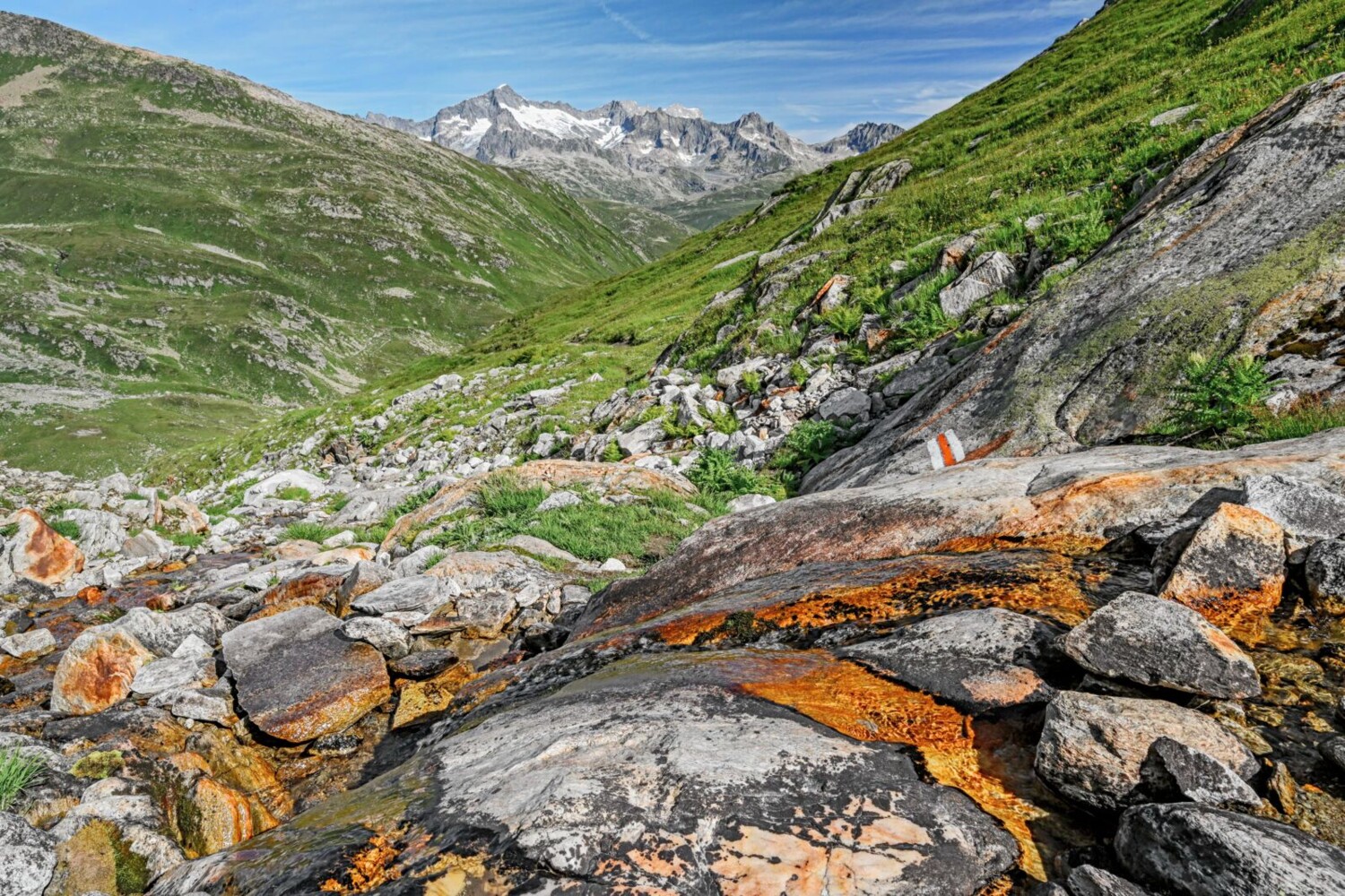 Depuis le col de Cavanna, le sentier serpente longtemps dans des éboulis et des pierriers, jusqu’à ce que l’on traverse un torrent de montagne aux eaux claires, un peu au-dessus du Meschitollerberg, pour retrouver la verdure.