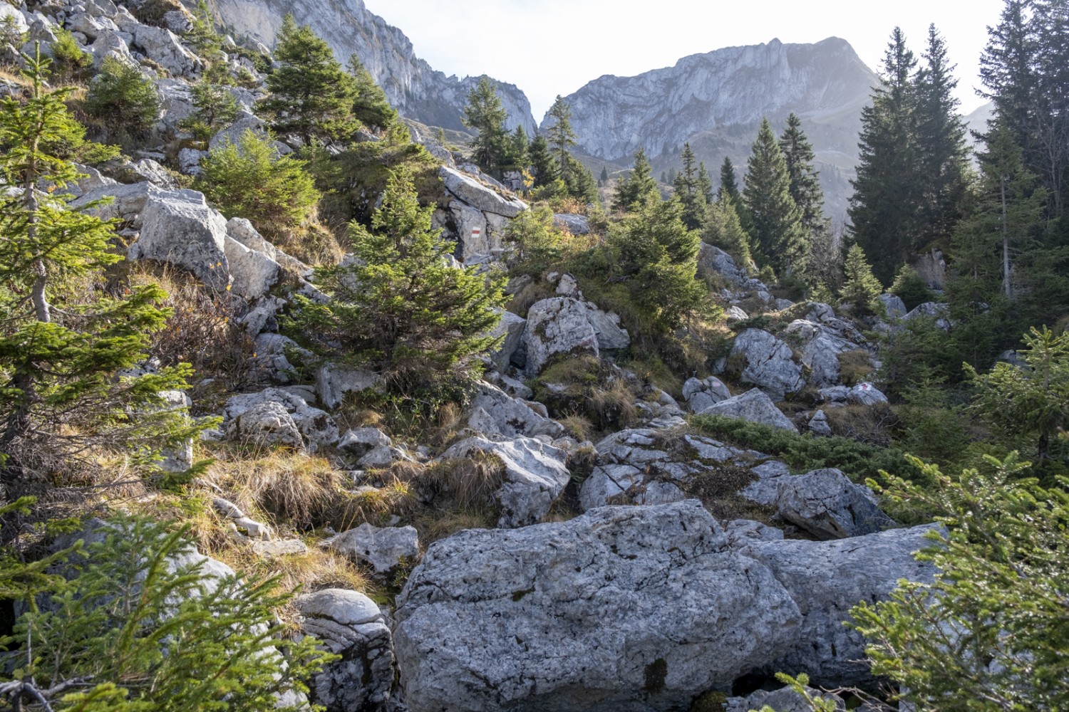 Un coin enchanteur dans le Breccaschlund, un paysage marqué par les glaciers. Photo: Markus Ruff