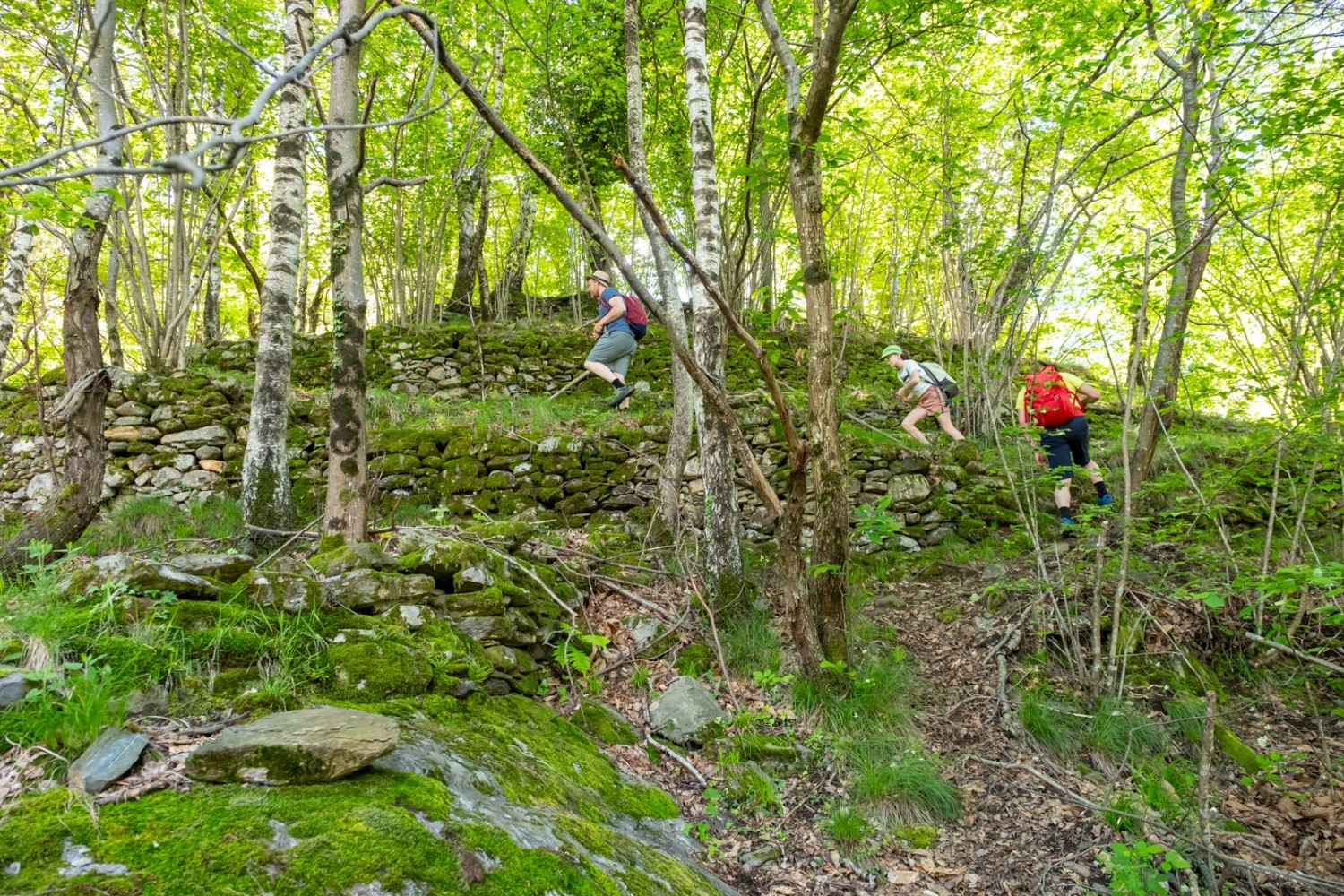 La garlenda se cache dans la forêt, au-dessus de l’église Sant’Anna.