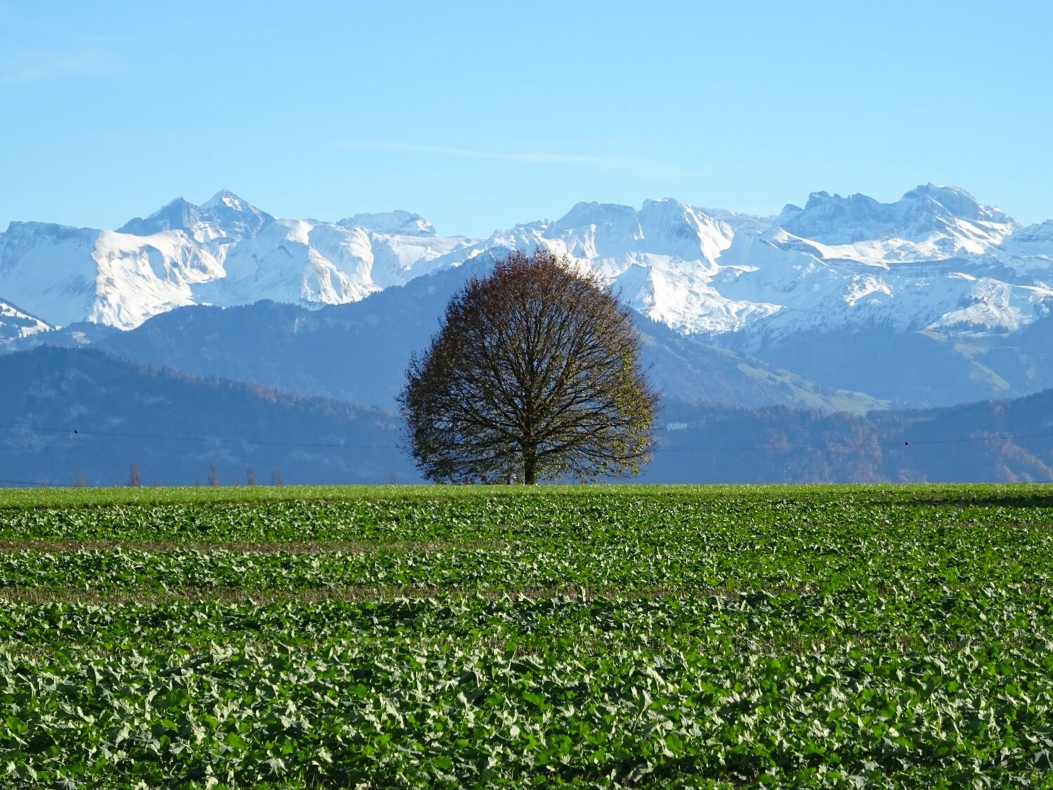 Gipfelblick nach Rothenburg.