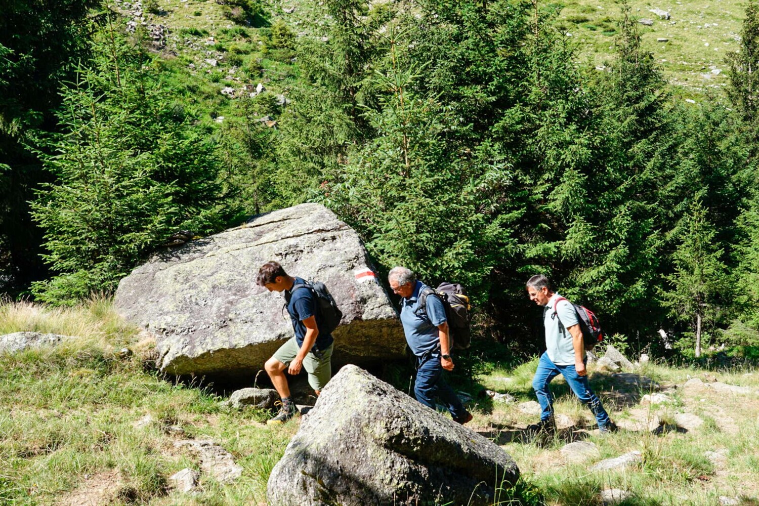 Il s’agit d’une randonnée de montagne qui permet notamment d’accéder à la cabane Terri.