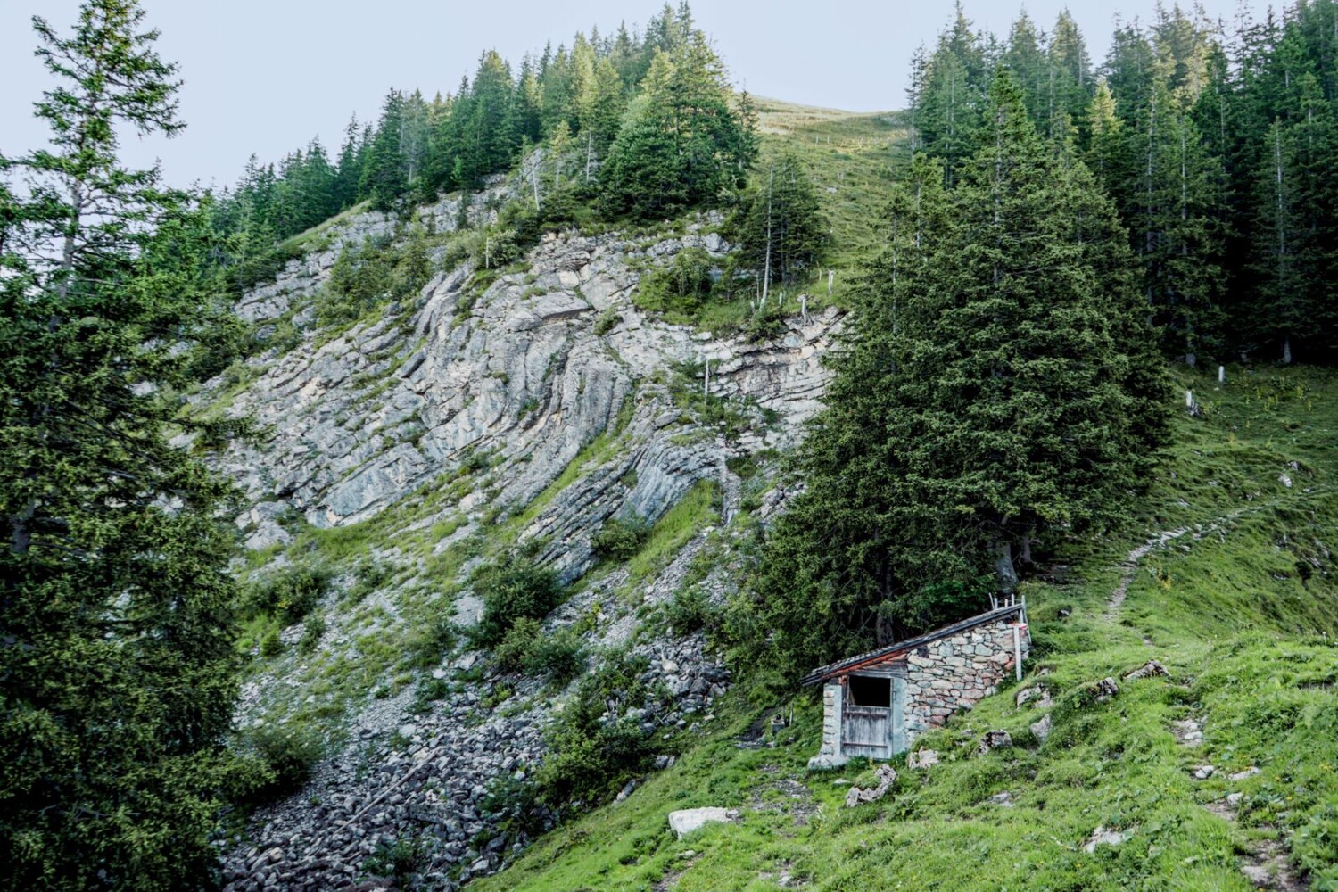 De Chlei Gigi, une dernière montée mène à l’alpe Gigi.