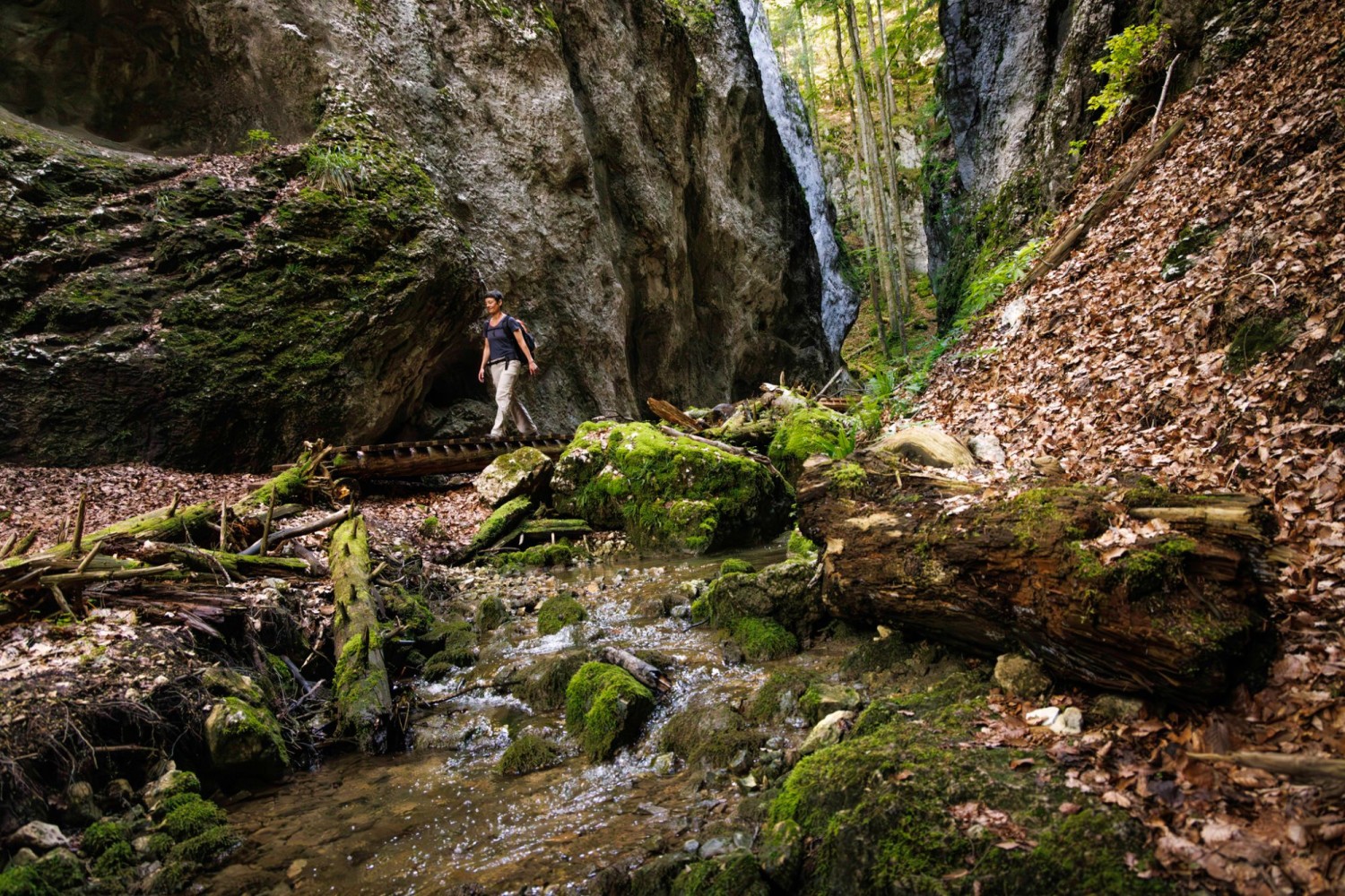 Les gorges du Wolfsschlucht sont pentues ; ce tronçon constitue une exception.