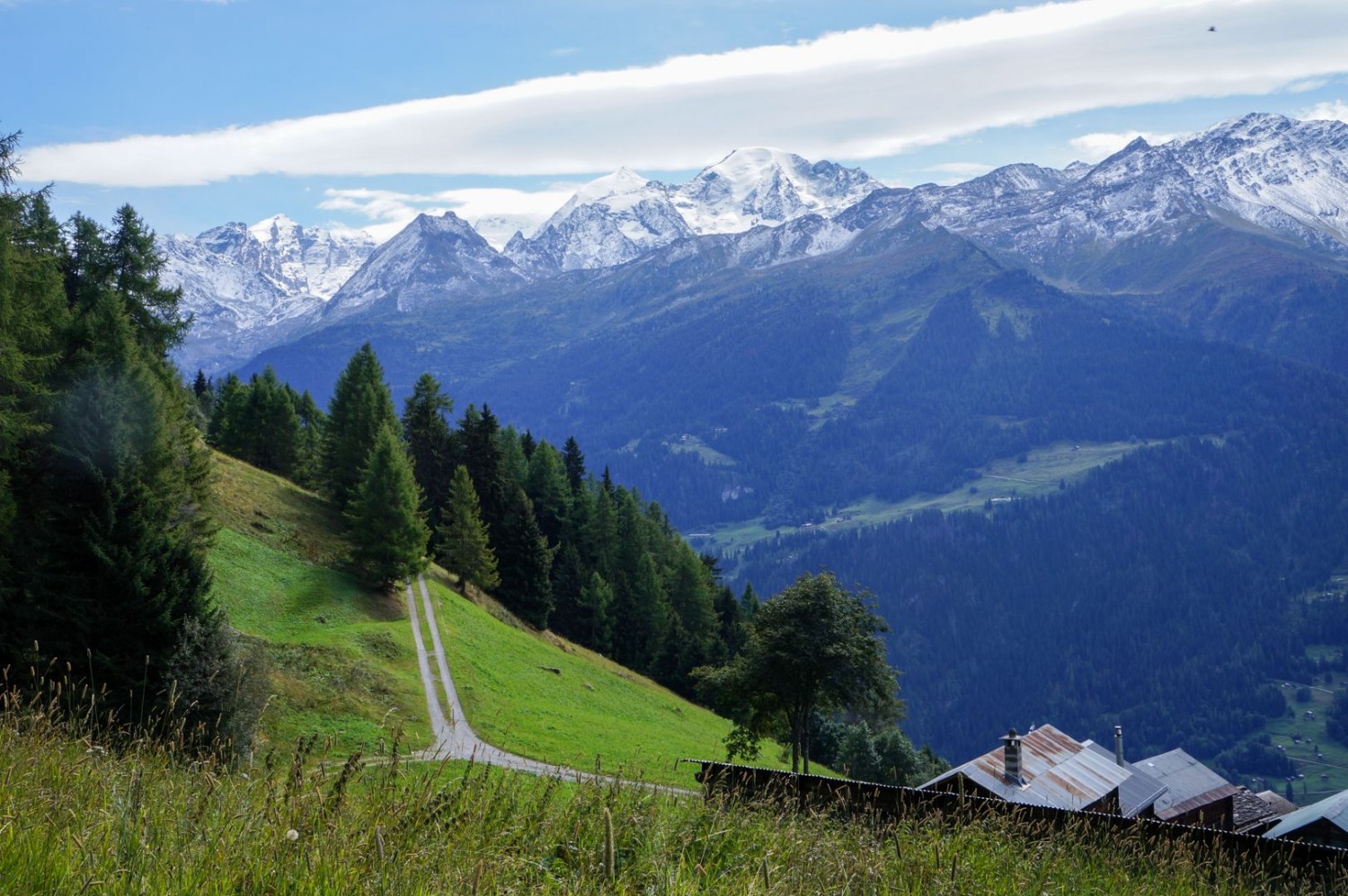 A la rencontre du Verbier sauvage