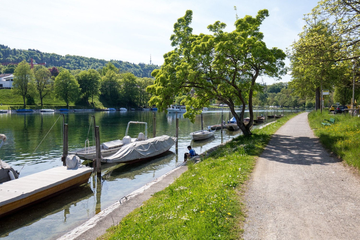 Auf breitem Weg geht es Richtung Altstadt Schaffhausen, fast immer direkt am Fluss entlang.