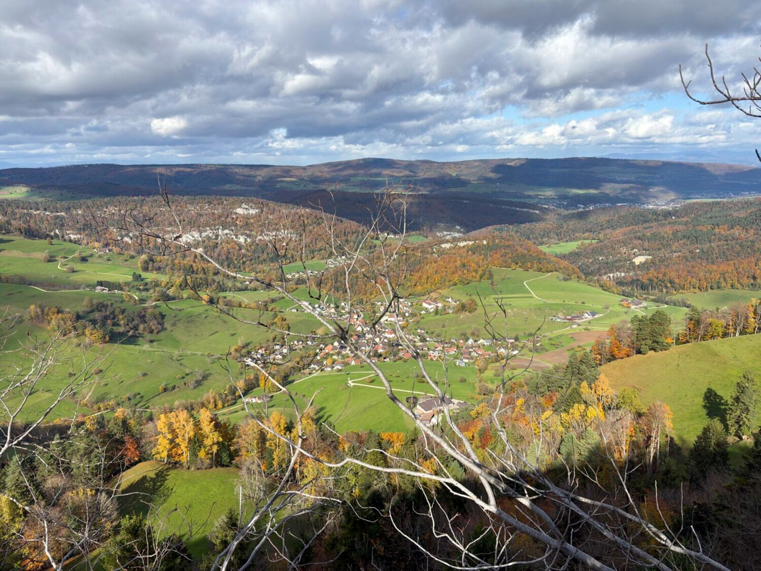Über die Krete des Fringelibergs