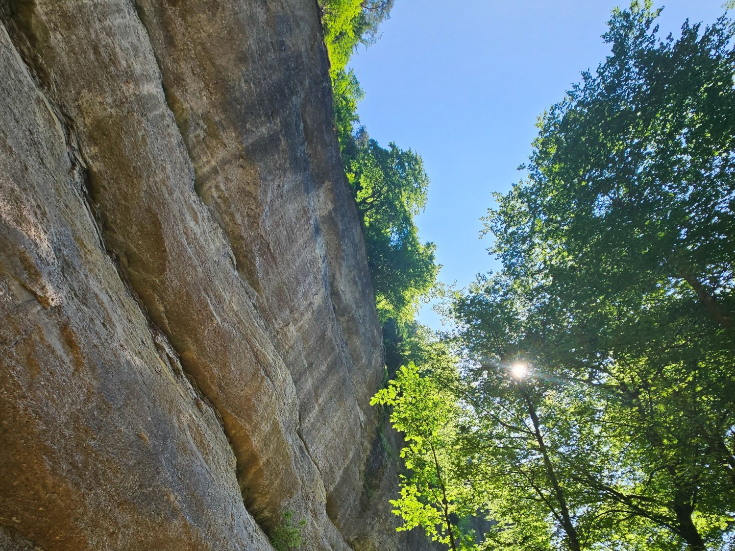 Eine imposante überhängende Nagelfluhwand befindet sich in der Mitte der Schlucht