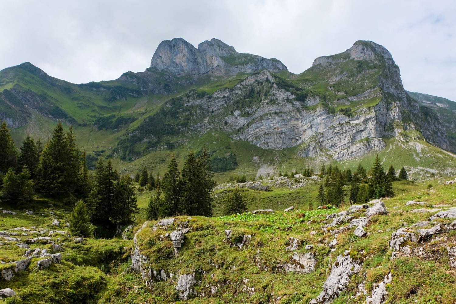 Vue sur le Widderfeld Stock (au milieu) et le Hohliecht (à droite).
