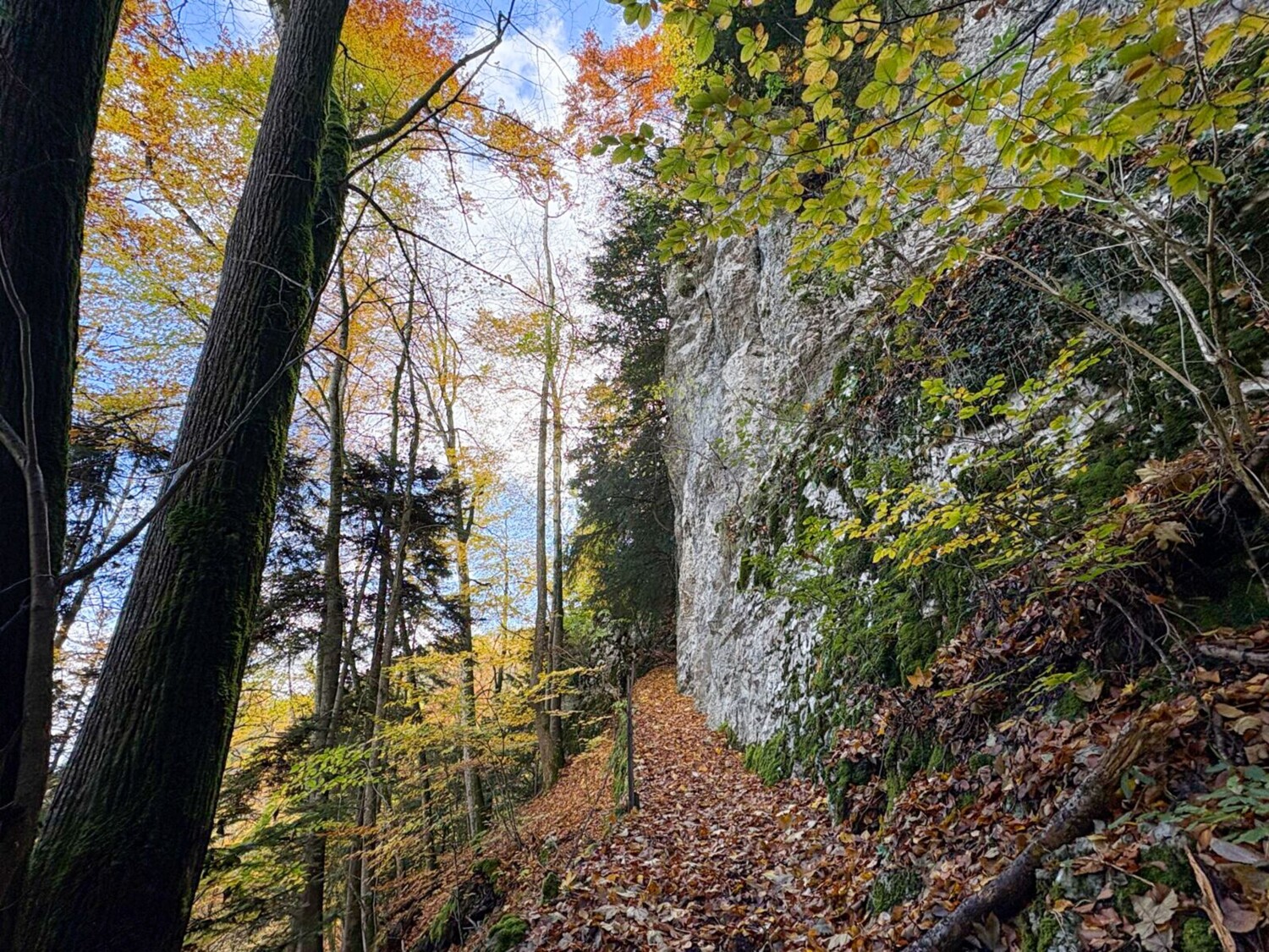 Im Aufstieg Richtung Vögeli wird der Weg steiler und schmaler.