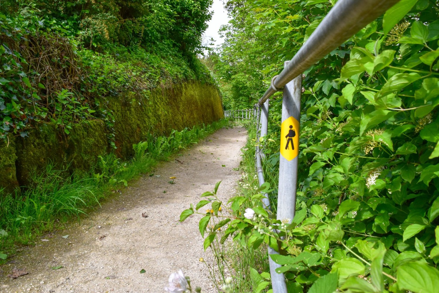 Le chemin de rive démarre à l’embarcadère de Kaiseraugst.